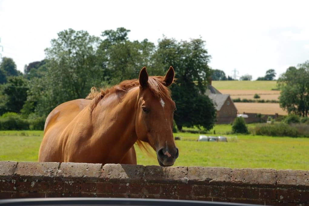 Hadleigh  Meddlars A Historic Cottage On The Countryside Edge Of A Vibrant Market Town מראה חיצוני תמונה